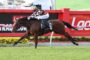 Jockey in orange-and-black checkered silks on a brown horse, mid-gallop over a track with red barriers and Ladbrokes signage in the background.