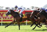 Multiple racehorses with jockeys sprint along a red-rail track on a sunny day, green turf visible in the foreground.