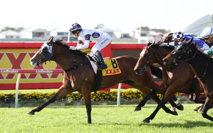 Multiple racehorses with jockeys sprint along a red-rail track on a sunny day, green turf visible in the foreground.