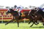 Multiple racehorses with jockeys sprint along a red-rail track on a sunny day, green turf visible in the foreground.
