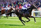 Jockey in purple silks riding a dark horse at full gallop on a green racecourse, with spectators in the background.