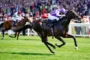 Jockey in purple silks riding a dark horse at full gallop on a green racecourse, with spectators in the background.