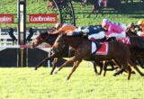 Thoroughbred horse race with jockeys in colorful silks sprinting on green turf; Ladbrokes banners in the background.