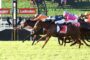 Thoroughbred horse race with jockeys in colorful silks sprinting on green turf; Ladbrokes banners in the background.