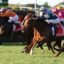 Jockeys in colorful silks race side-by-side on a green track, front runners near the camera with horses in full gallop behind a barrier.