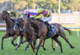 Three jockeys ride fast-moving horses in a close horse race on a green turf track at daytime, leaning forward in colorful silks.