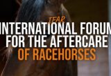 Banner image of a horse's face with bold white and orange text: 'International Forum for the Aftercare of Racehorses'