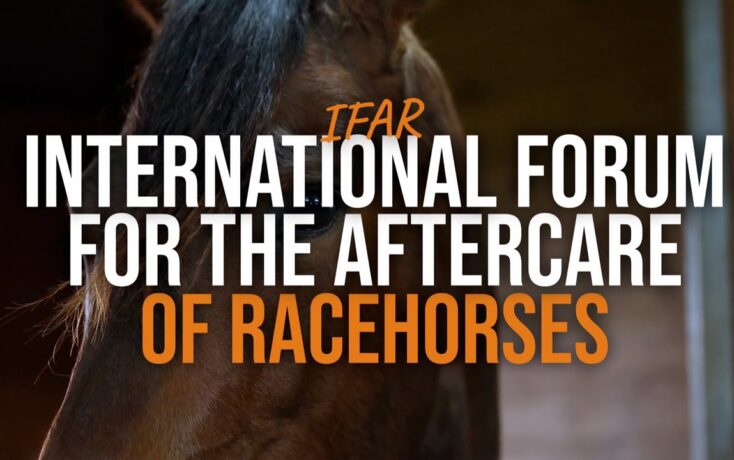Banner image of a horse's face with bold white and orange text: 'International Forum for the Aftercare of Racehorses'
