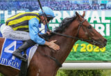 Jockey in blue and yellow silks rides a brown racehorse during a race, leaning forward in the saddle.