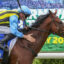 Jockey in blue and yellow silks rides a brown racehorse during a race, leaning forward in the saddle.