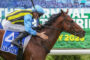 Jockey in blue and yellow silks rides a brown racehorse during a race, leaning forward in the saddle.