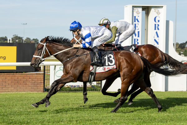 Two jockeys race neck‑and‑neck on sprinting horses; foreground horse #13 wears blue/white silks as they surge past on a grassy track, with banners in the background.