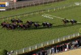 Horses race down a grass racetrack with a 100m marker; jockeys in colorful silks; crowd in stands along the fence; timer shows 1:12.17.