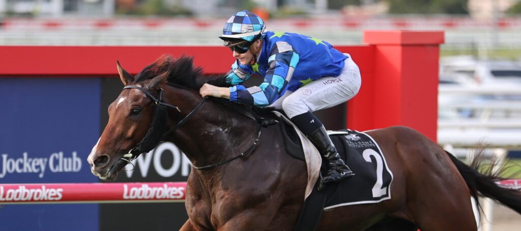 Middle Earth 4 | Just Horse Racing Jockey in blue star-patterned silks riding a brown horse at a racecourse, mid-gallop.