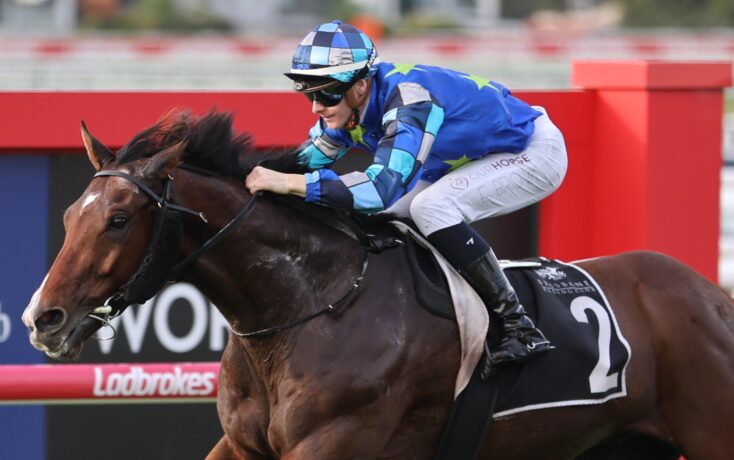 Jockey in blue star-patterned silks riding a brown horse at a racecourse, mid-gallop.