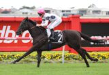 Jockey in white silks and pink cap rides a dark horse at speed on a red-rimmed racetrack, yellow flowers in foreground.