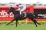 Jockey in white silks and pink cap rides a dark horse at speed on a red-rimmed racetrack, yellow flowers in foreground.