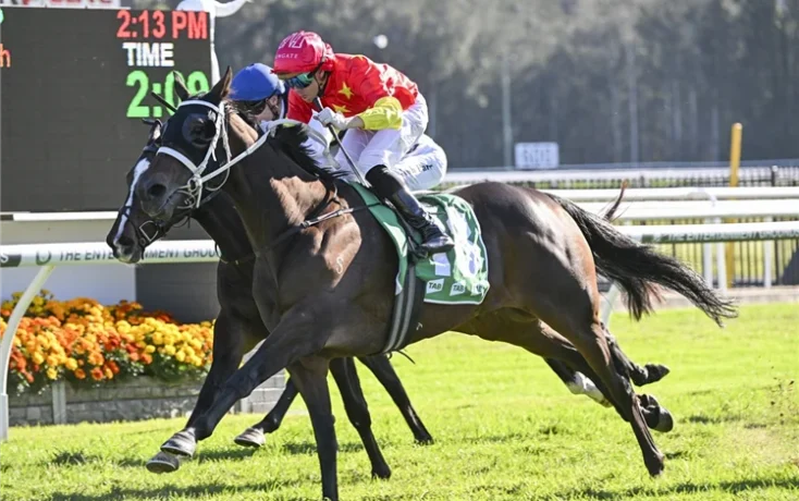 Two jockeys on racehorses neck-and-neck on a grassy track with a digital scoreboard in the background.