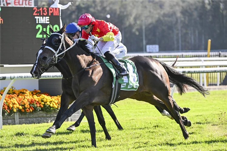 Two jockeys on racehorses neck-and-neck on a grassy track with a digital scoreboard in the background.