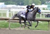 Grey racehorse with jockey in black and yellow silks racing on a dirt track, number 10 saddle cloth, mid-leap near the railing.