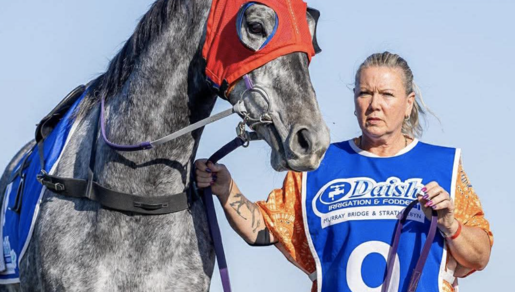 Woman in a blue race bib stands beside a gray horse wearing a red protective hood outdoors, holding its reins.