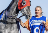 Woman in a blue race bib stands beside a gray horse wearing a red protective hood outdoors, holding its reins.