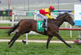Jockey in red and yellow silks rides a dark brown horse at full gallop on a grassy racecourse. The rider wears a red helmet and white pants with the number 12 on a green saddlecloth.