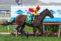 Jockey in red and yellow silks riding a dark horse mid-jump over a hurdle on a grassy racecourse, with advertising boards in the background.