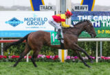 Horse and jockey in red and yellow silks jump a hurdle at a racecourse; bib shows number 14.