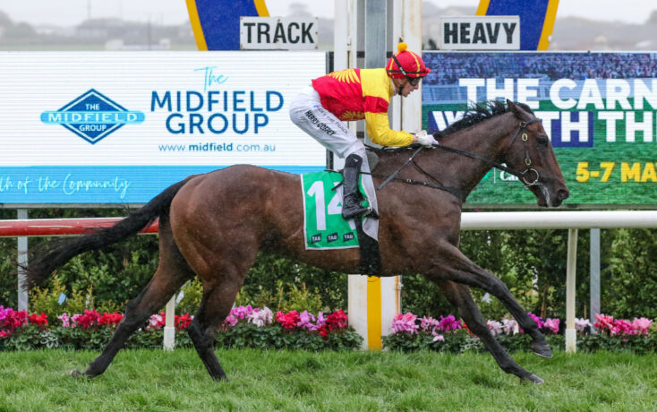 Horse and jockey in red and yellow silks jump a hurdle at a racecourse; bib shows number 14.