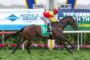 Horse and jockey in red and yellow silks jump a hurdle at a racecourse; bib shows number 14.