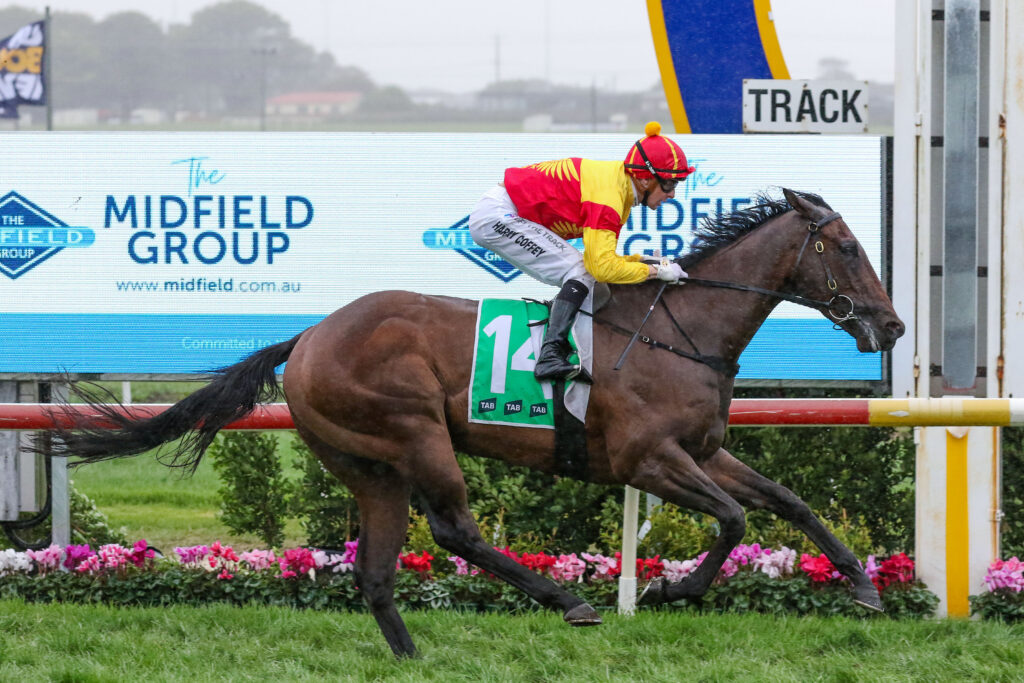 Jockey in red and yellow silks rides a dark brown horse at full gallop on a racetrack, with pink flowers along the infield and a track sign in the background.