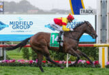 Jockey in red and yellow silks rides a dark brown horse at full gallop on a racetrack, with pink flowers along the infield and a track sign in the background.