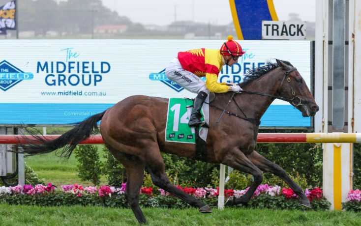 Jockey in red and yellow silks rides a dark brown horse at full gallop on a racetrack, with pink flowers along the infield and a track sign in the background.