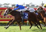 Thundering horse race with jockeys in blue, white, and red silks sprinting on a grassy track.