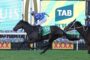 Two jockeys ride galloping horses in a race, with the lead horse wearing a green saddlecloth and the rider in blue diamond-pattern silks ahead of a rival.