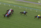 Group of horses racing on a green turf track, a yellow-silks horse leads to the right while a cluster of runners in blue and red follow closely behind by the inner railing.