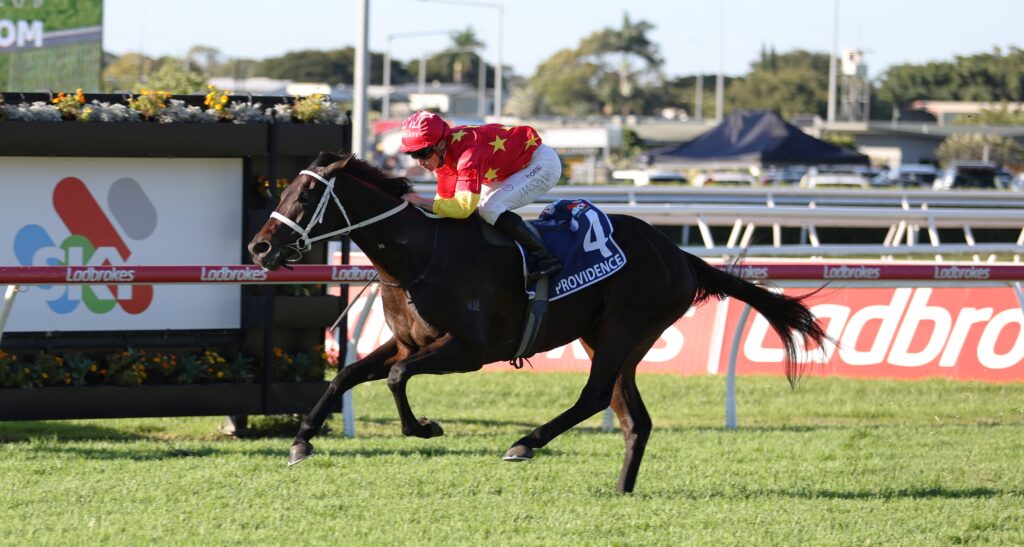 Horse and jockey in red star-pattern silks jumps along a race track with rail; rider leans forward, number 4 saddle cloth reads Providence, onlookers and banners in background.