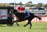 Horse and jockey in red star-pattern silks jumps along a race track with rail; rider leans forward, number 4 saddle cloth reads Providence, onlookers and banners in background.