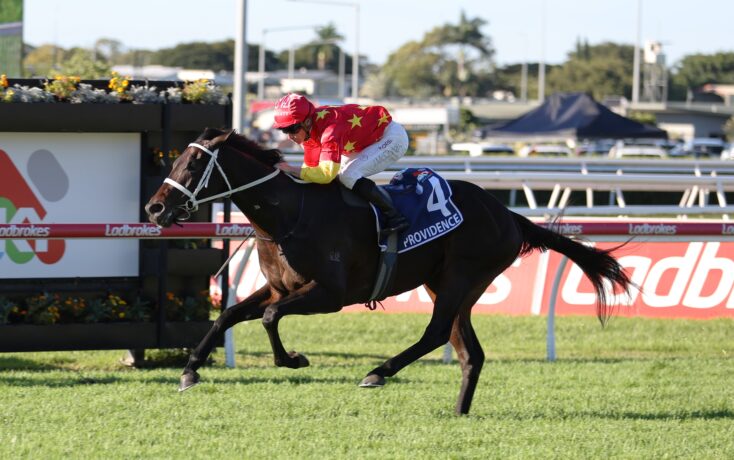 Horse and jockey in red star-pattern silks jumps along a race track with rail; rider leans forward, number 4 saddle cloth reads Providence, onlookers and banners in background.