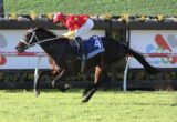 Jockey in red star-patterned silks on a dark horse leaping over a hurdle during a race on a sunny track.