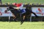 Jockey in red star-patterned silks on a dark horse leaping over a hurdle during a race on a sunny track.