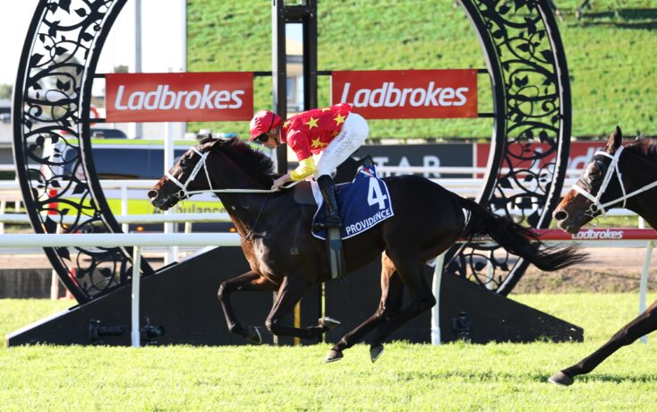 Horse and jockey in red-and-yellow star-patterned silks jumping over a decorative hurdle at a Ladbrokes racecourse banner backdrop.