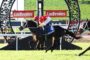 Horse and jockey in red-and-yellow star-patterned silks jumping over a decorative hurdle at a Ladbrokes racecourse banner backdrop.