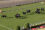 Racehorse sprint on a green turf track with jockeys in colorful silks, spectators visible in the foreground, and advertising boards along the track edge.
