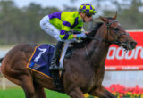 Jockey wearing neon green and purple silks rides a brown horse during a race, leaning forward with goggles on.