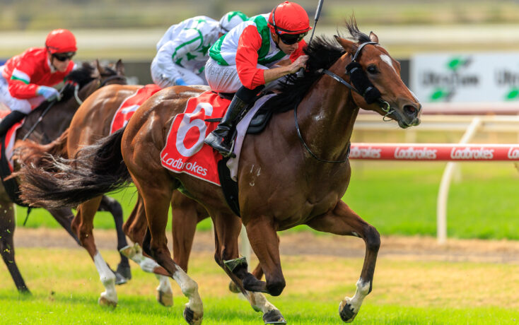 Jockeys race on galloping horses on a grassy track, red helmets and red saddlecloths visible with Ladbrokes branding