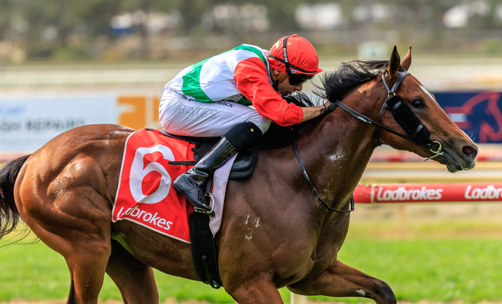 R2 MARFFIANO, ridden by Declan Bates_1383729_Courtney | Just Horse Racing Jockey in red silks rides a brown horse mid-race on a track with a blurred background.