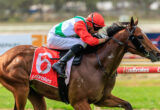 Jockey in red silks rides a brown horse mid-race on a track with a blurred background.