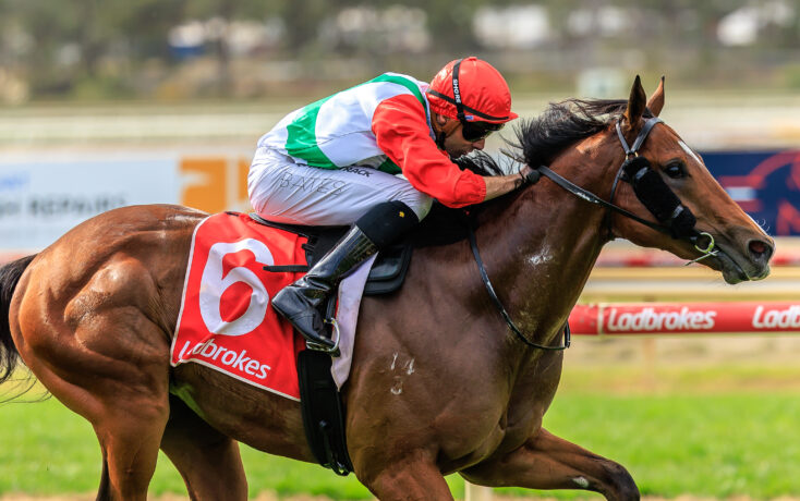 Jockey in red silks rides a brown horse mid-race on a track with a blurred background.